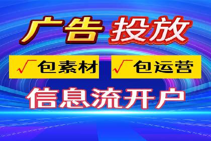 知名SEM公司案例分析：优化策略与成果