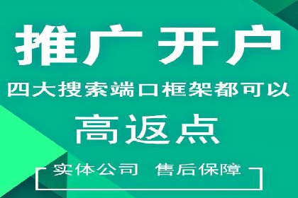 SEM运营公司案例研究：优化广告投放策略
